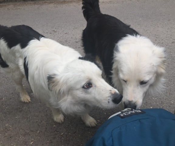 Blog: Das Leben ist eine Pilgerreise Foto: Sandra Hartmann